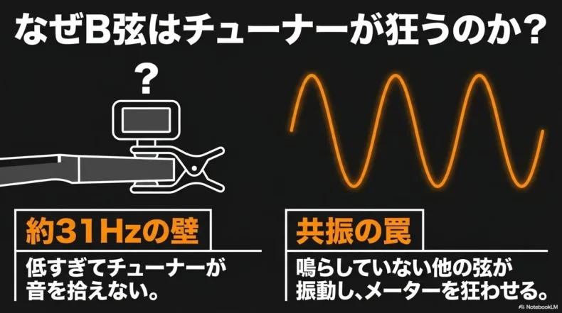 約31Hzの低音とほかの弦の共振によりB弦のチューナー表示が不安定になる仕組み