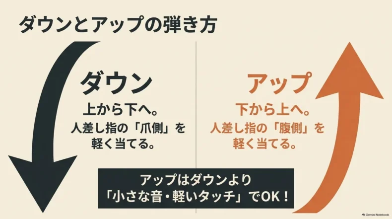 ダウンは上から下へ人差し指の爪側、アップは下から上へ人差し指の腹側を軽く当てる弾き方