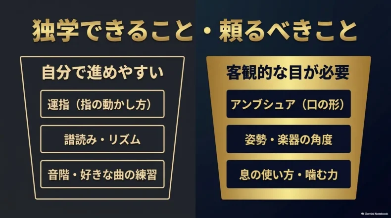独学しやすい運指・譜読み・音階・曲の練習と、客観的な確認が必要なアンブシュアや姿勢を比較