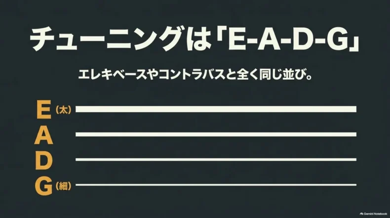 初心者の最初の1本として、4弦・フレットあり・標準チューニングE-A-D-Gの3条件を提示